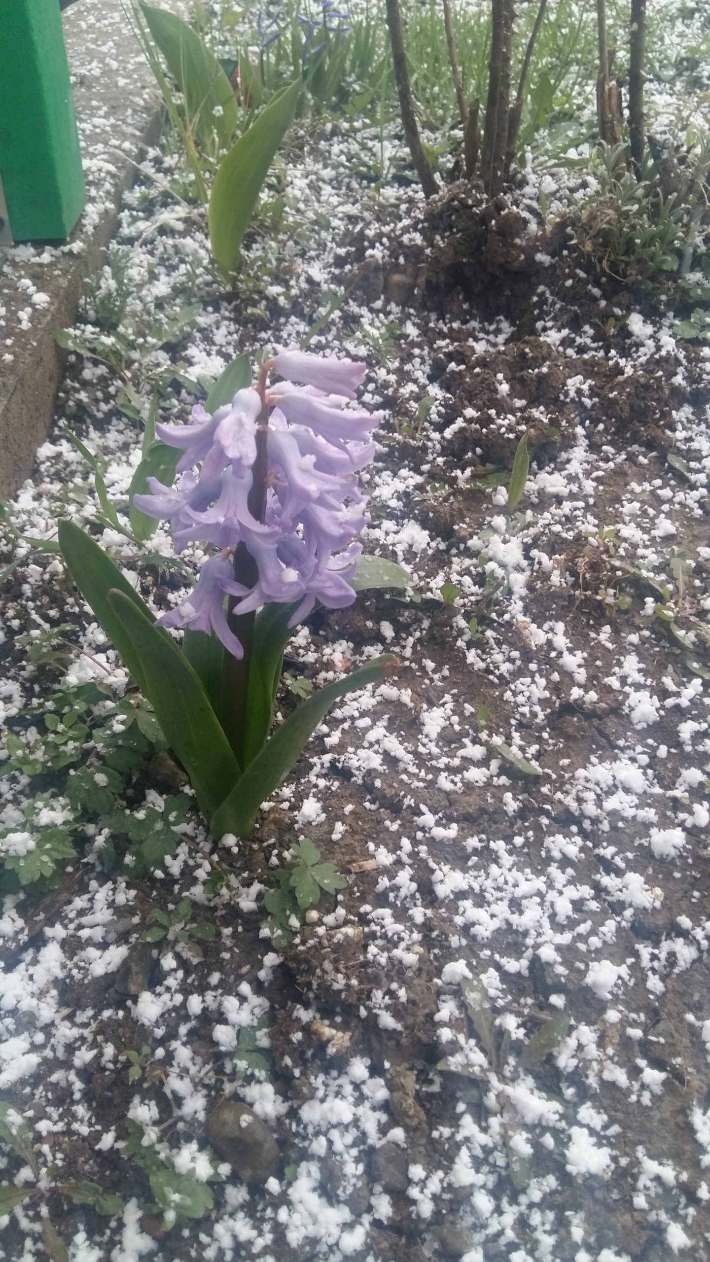 170729759_1113808945762397_4664379809896264554_n