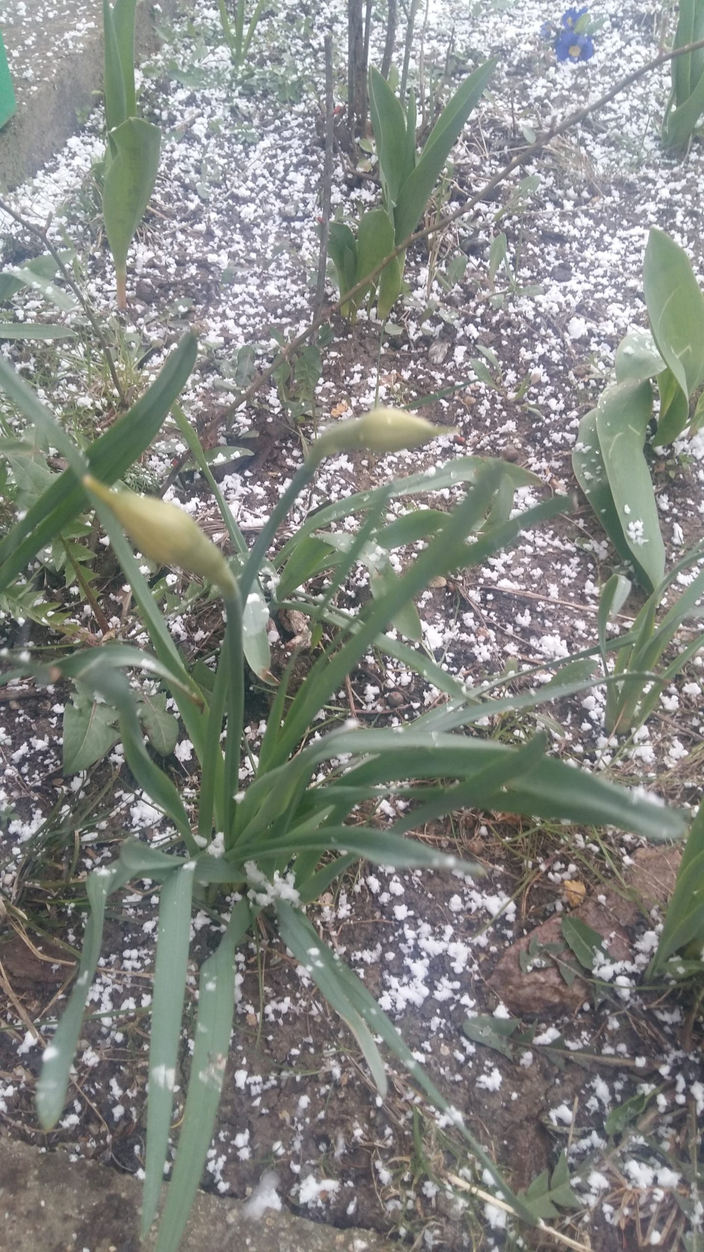 171021742_269567511381511_8565976964971005633_n