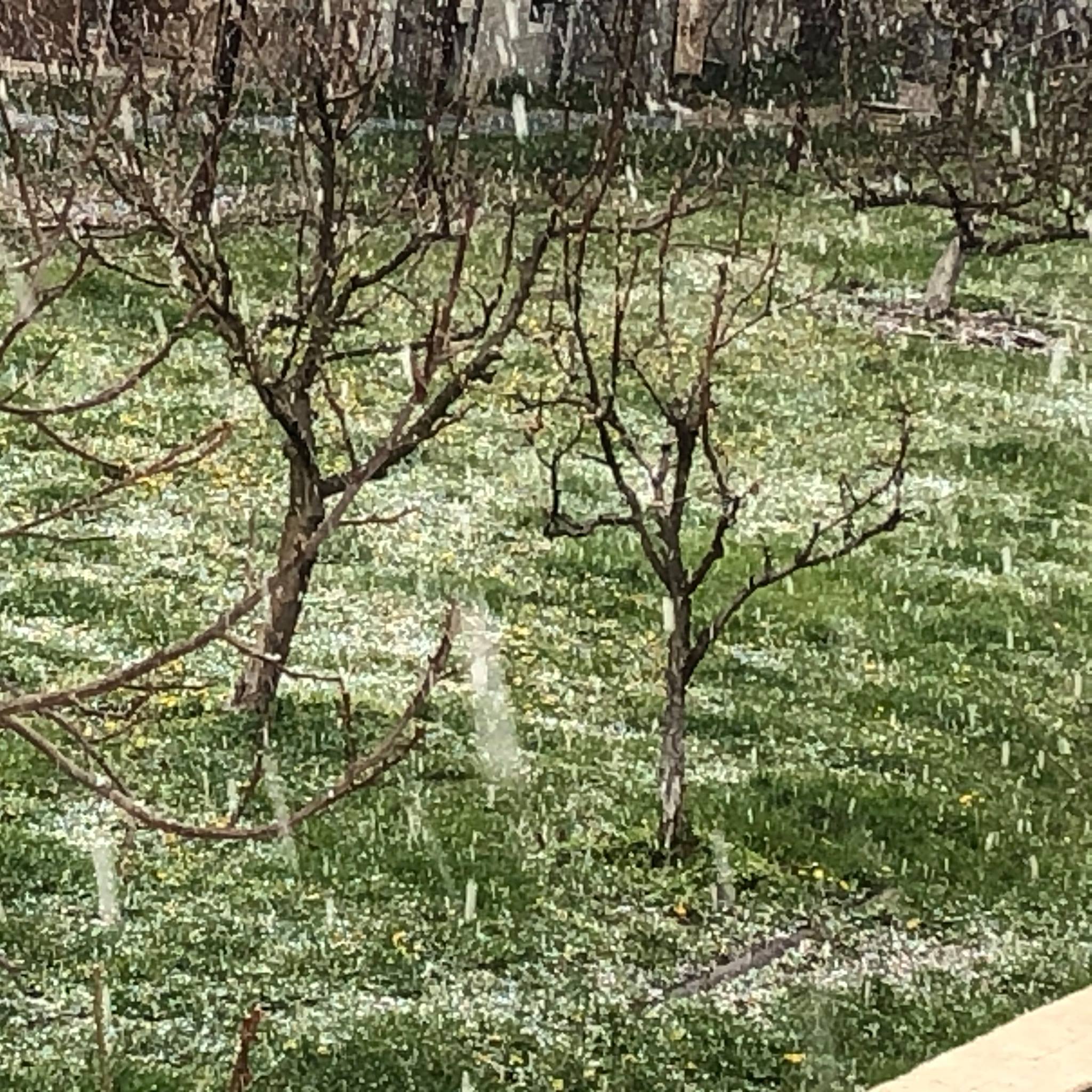 171153023_2750550881874814_3476320378873693693_n