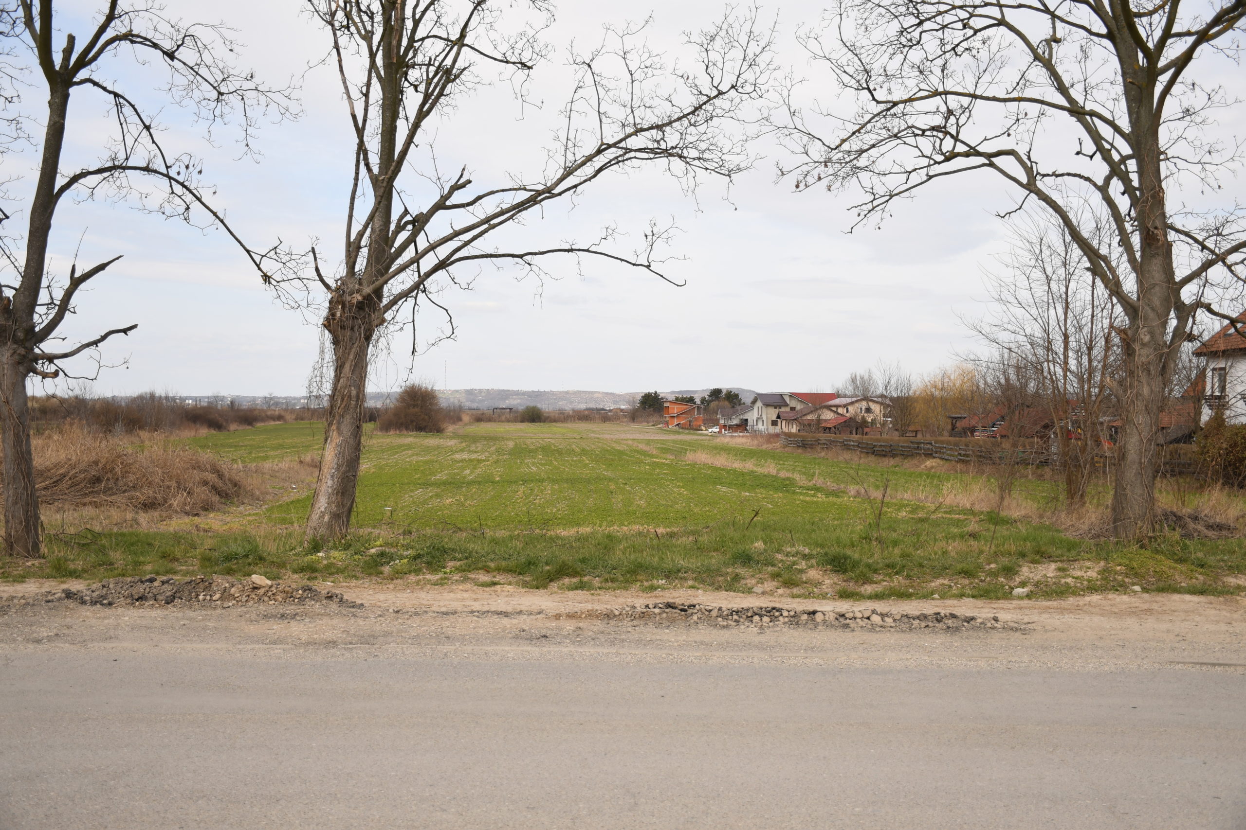 dsc_2147_50998774809_o