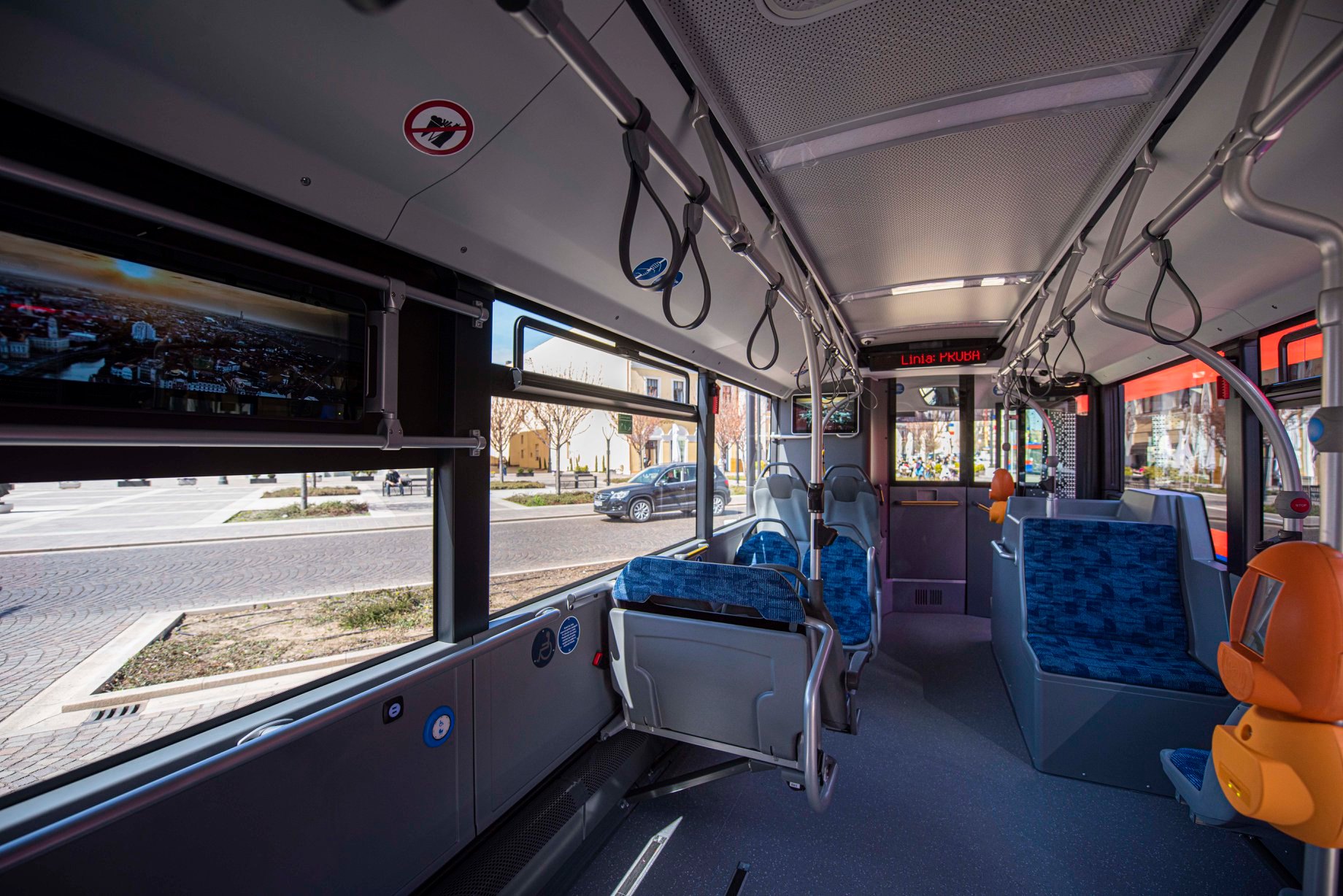 173177999_300578501426878_1514016394673869183_n