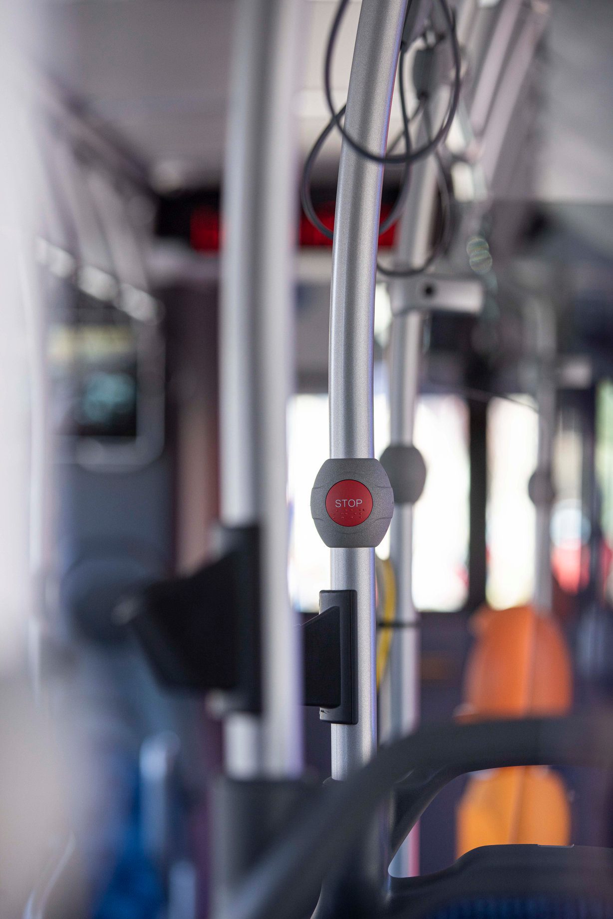 173223253_300578548093540_3545715489427662_n