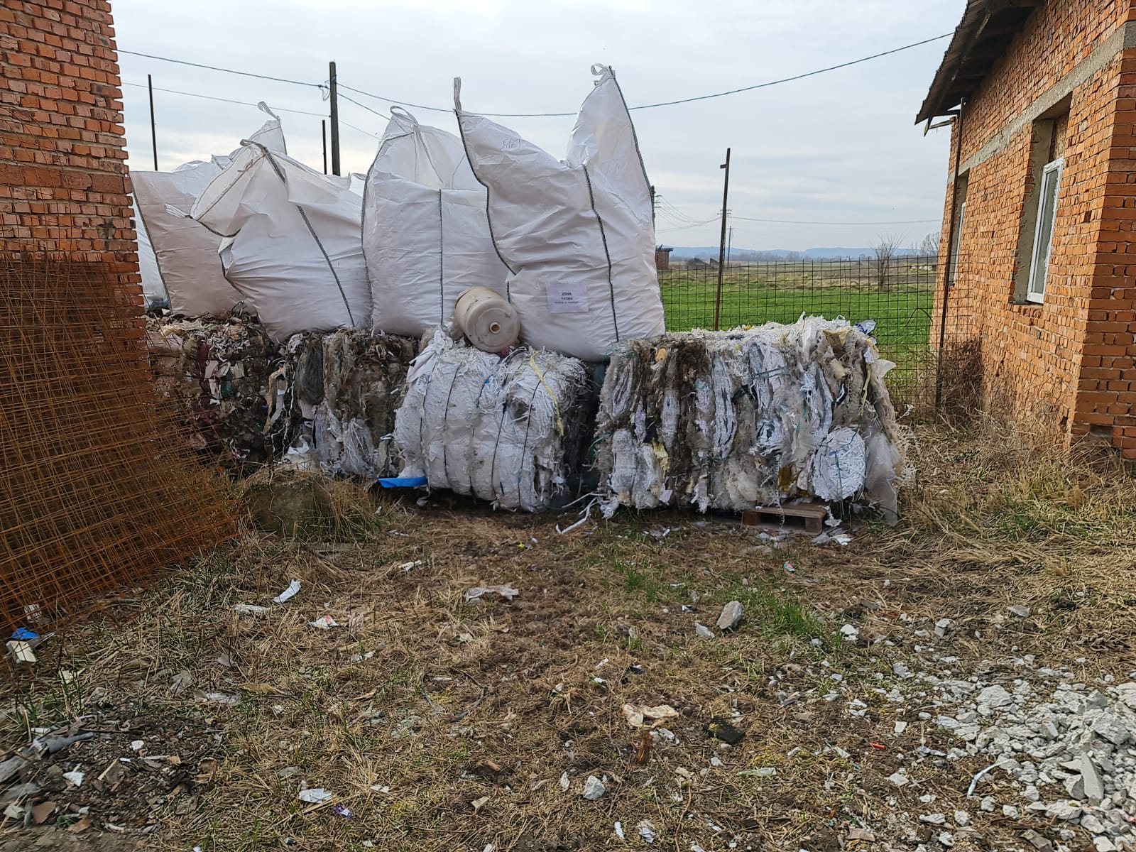 173536614_548677336107009_862610830840165931_n