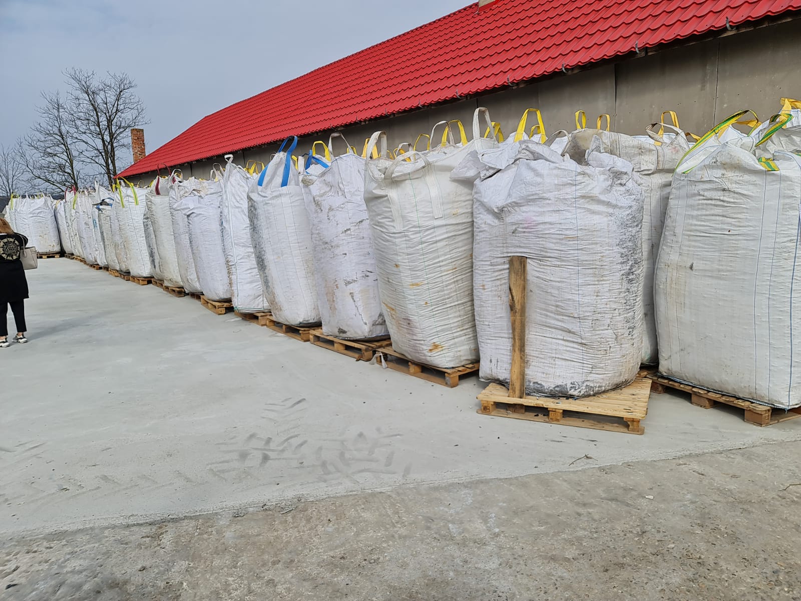 173788527_452468939198044_5072267827200995738_n