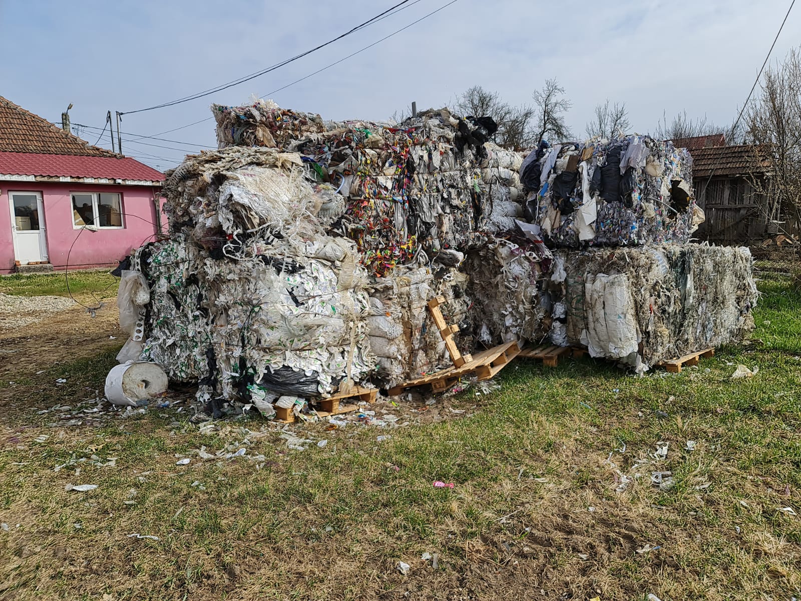 174164920_281078250167238_8126122982318116407_n