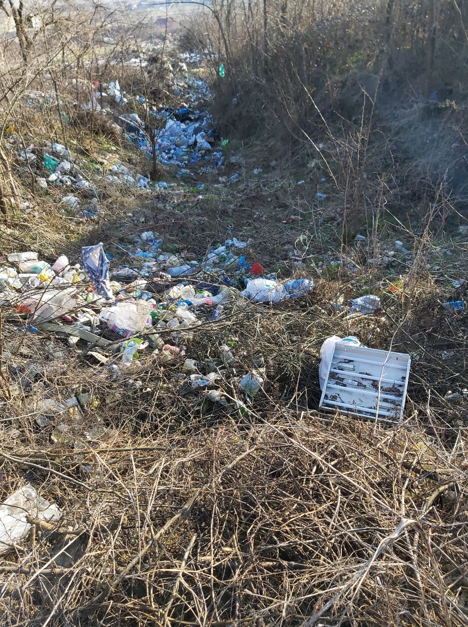 deseuri ineu amenda (2)