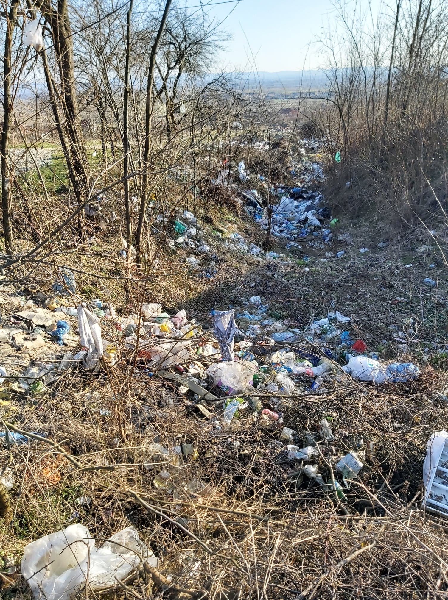 deseuri ineu amenda (4)