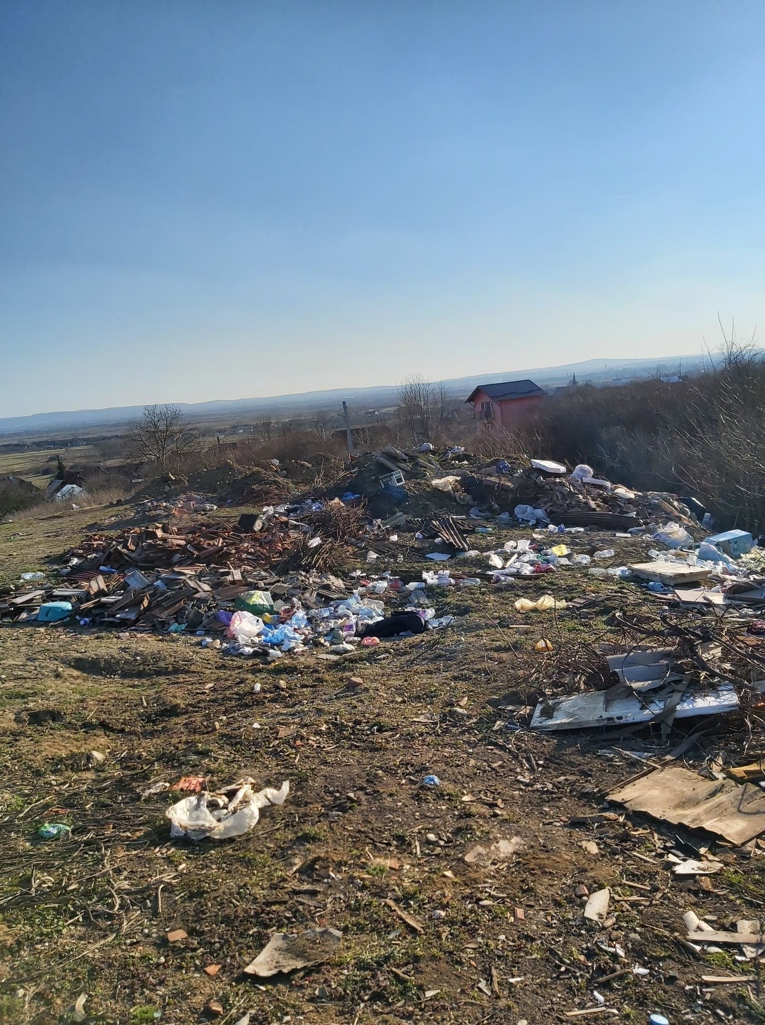 deseuri ineu amenda (5)