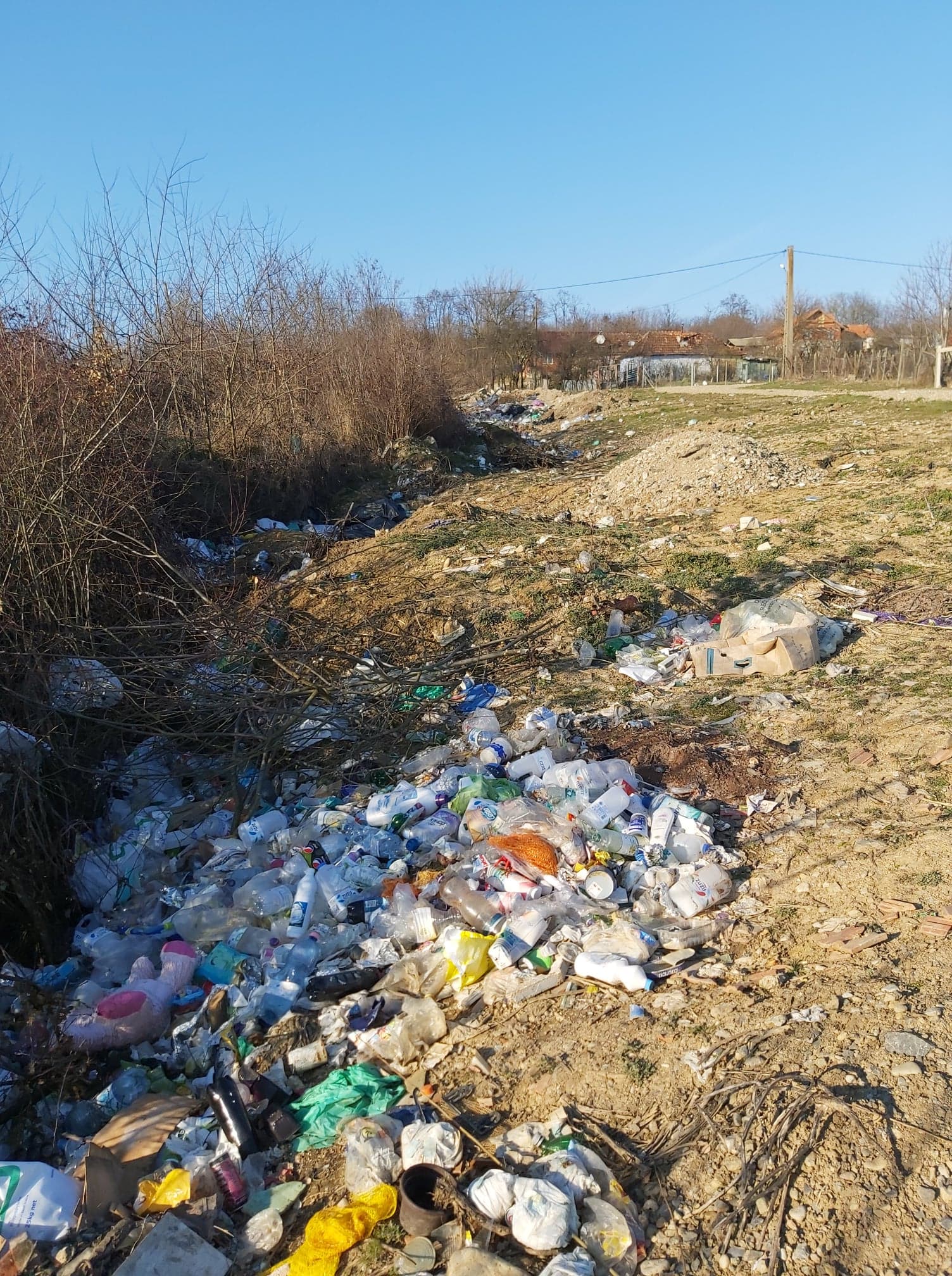 deseuri ineu amenda (6)