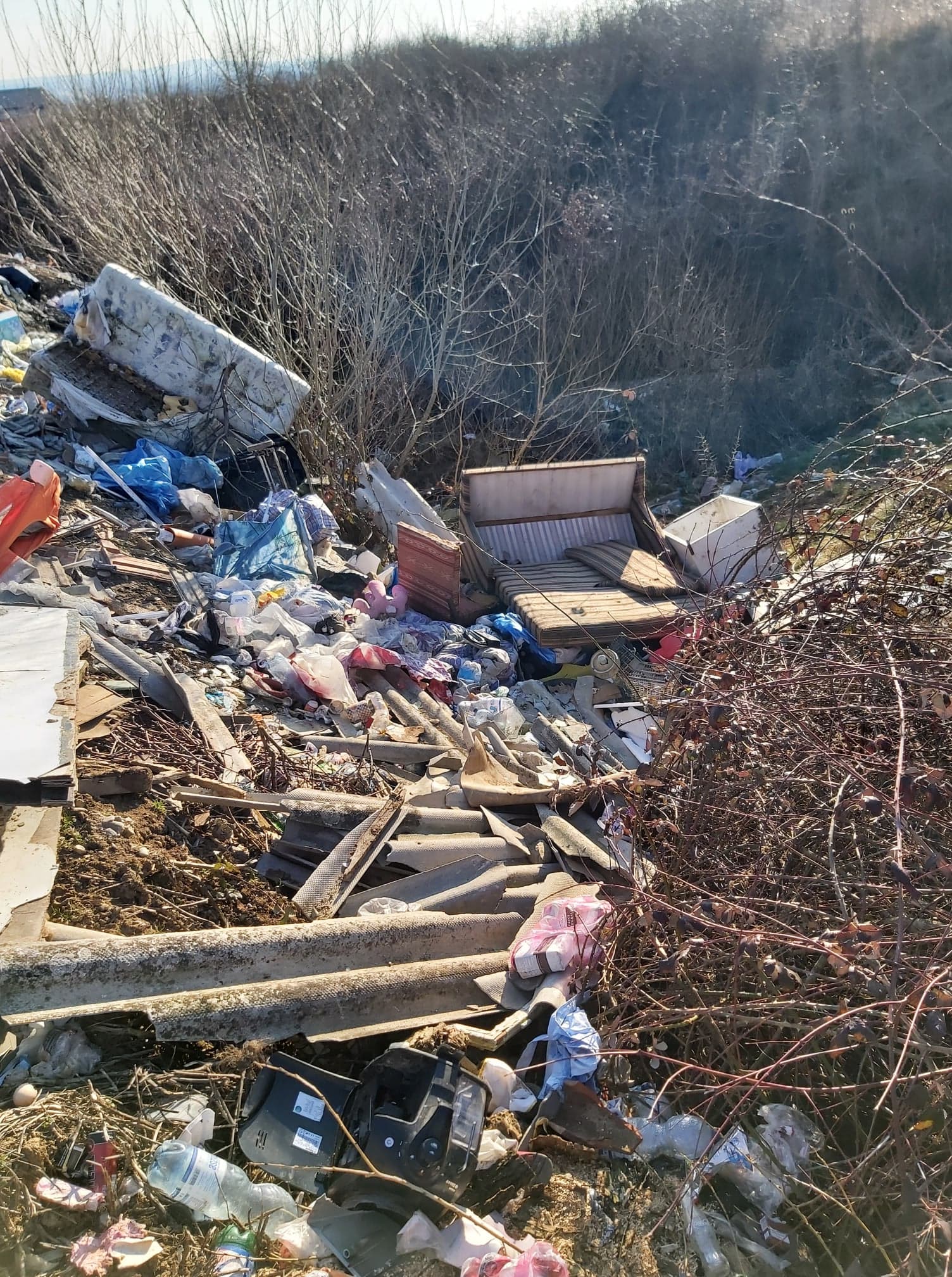 deseuri ineu amenda (7)