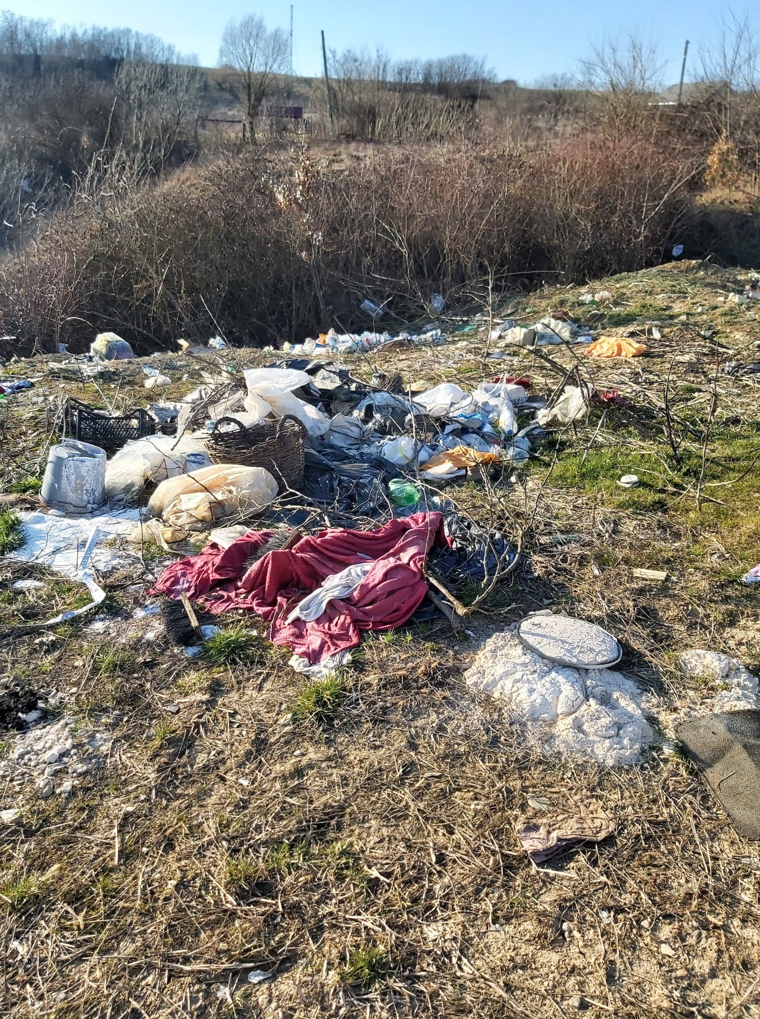 deseuri ineu amenda (10)