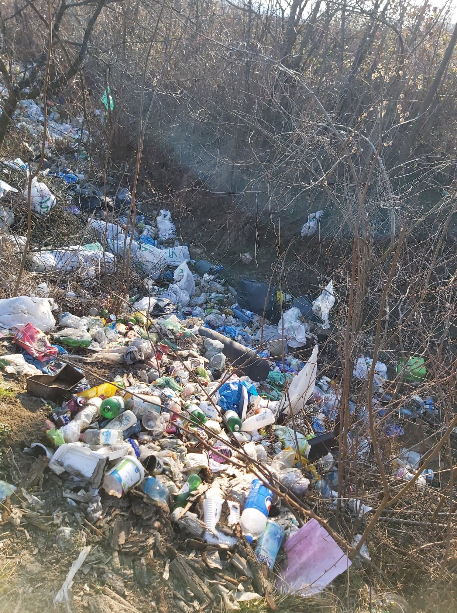 deseuri ineu amenda (11)