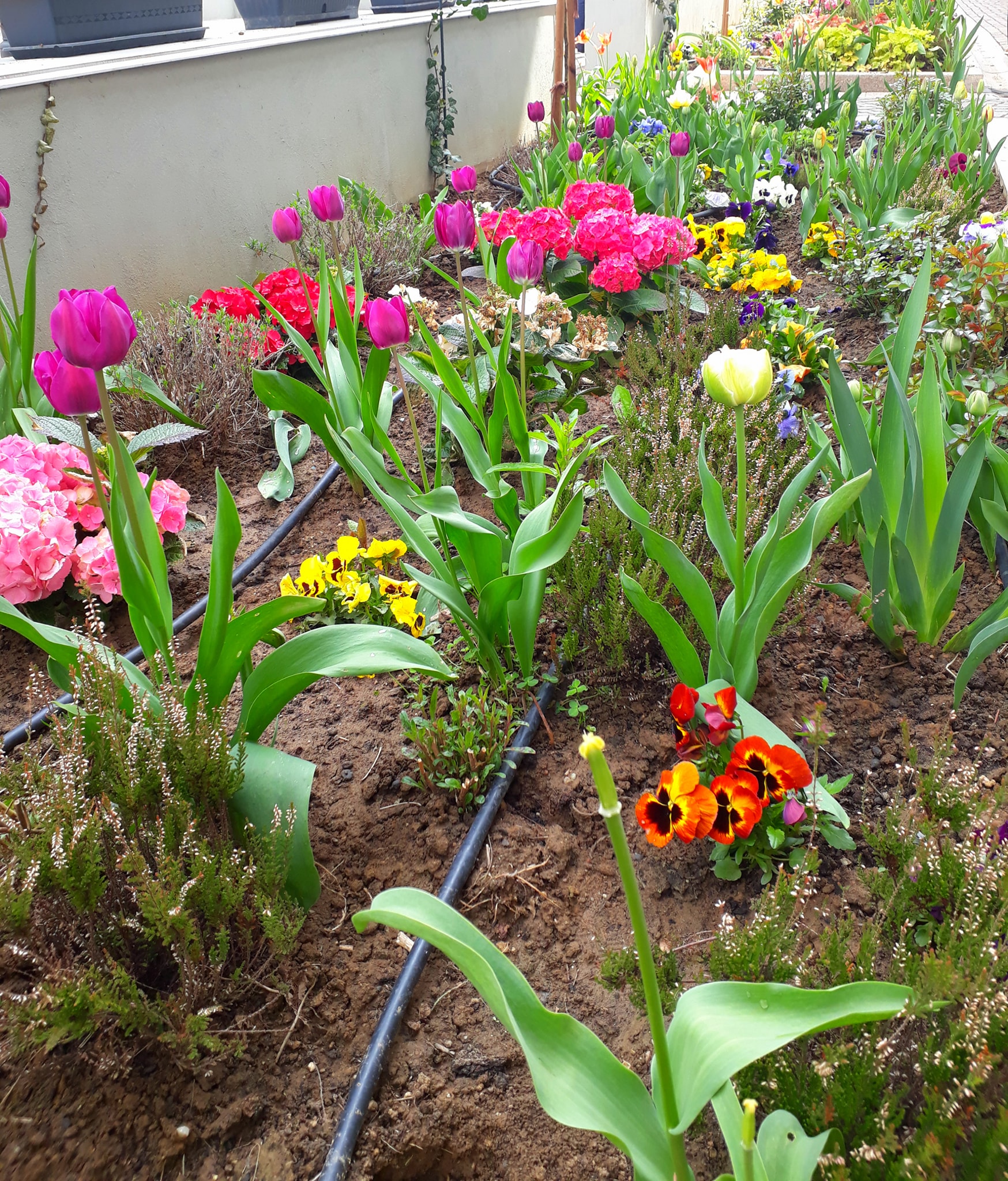 175568138_3872758459486688_4619420177520431495_n