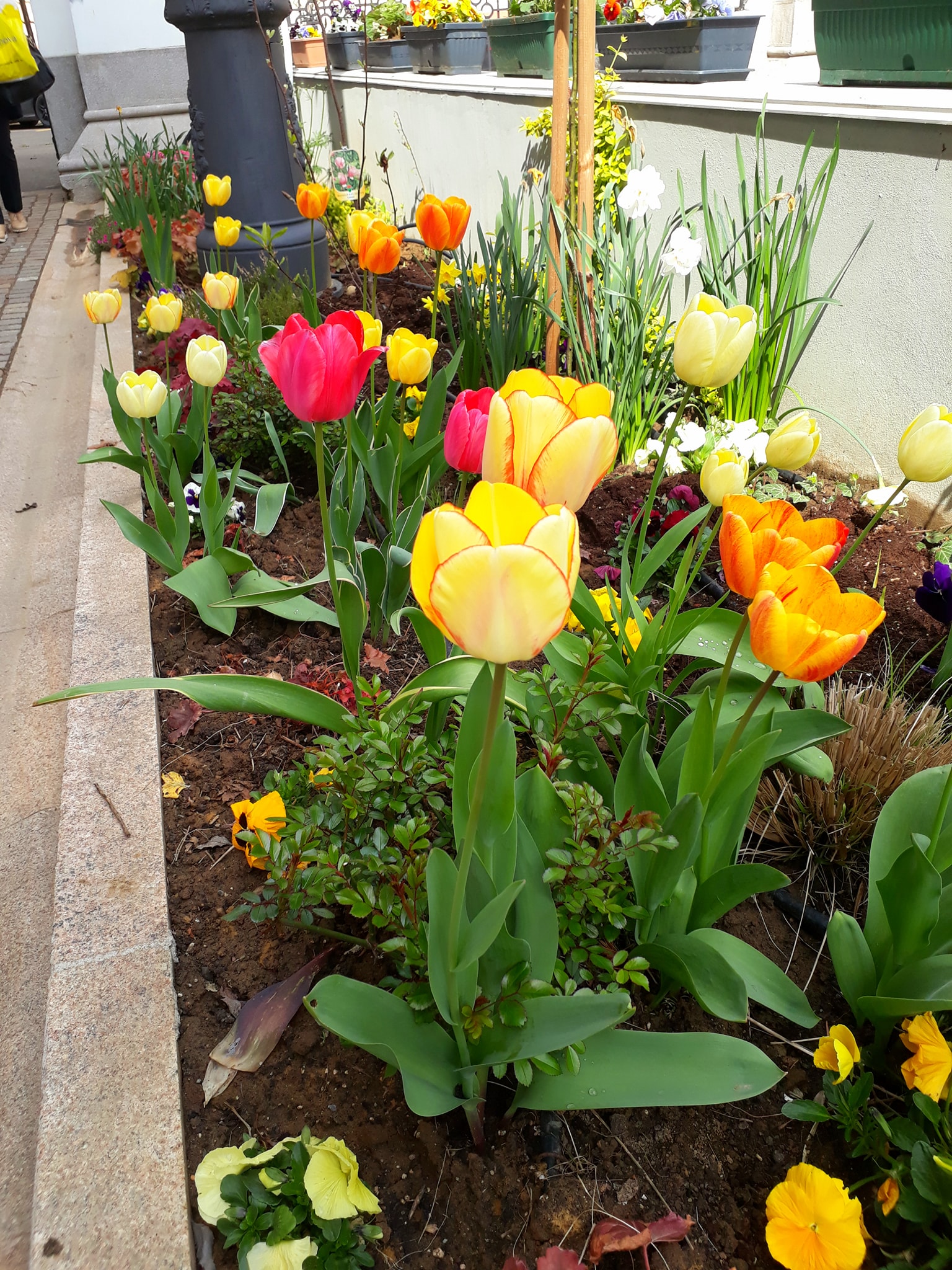 176159589_3872748799487654_572931315076609567_n