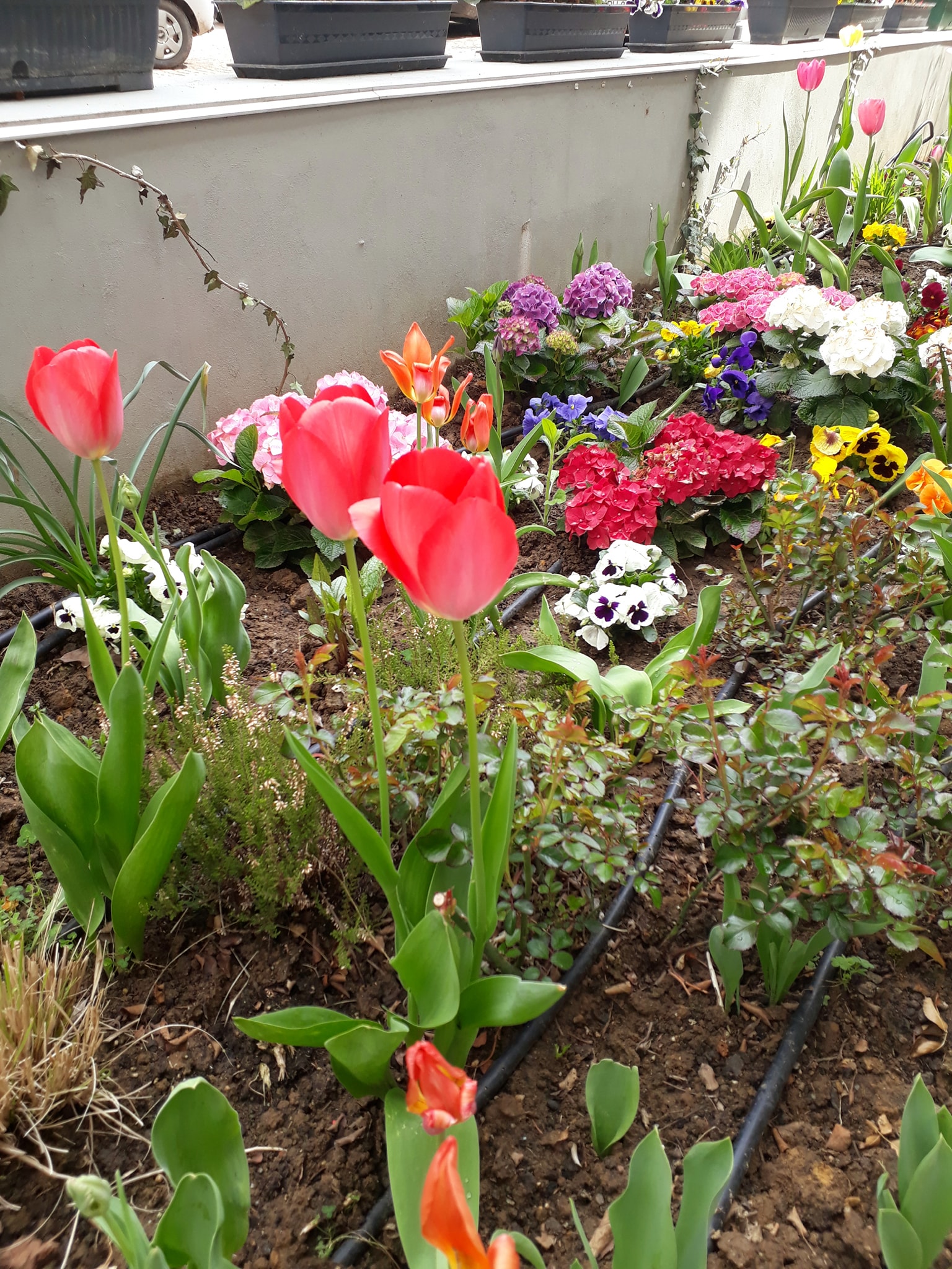 176217990_3872760199486514_1281645621645575767_n