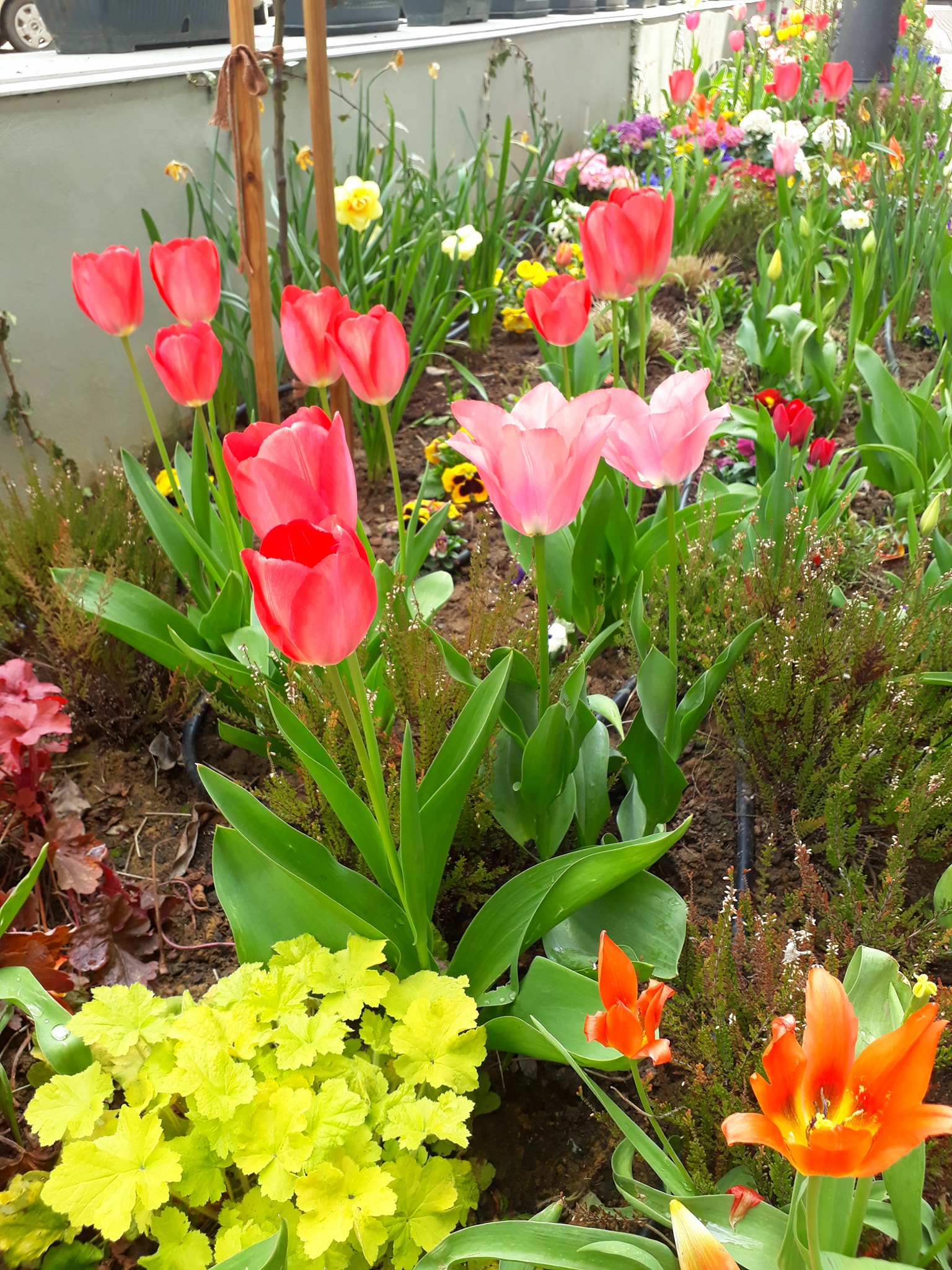 176269005_3872745919487942_1321892619652643175_n