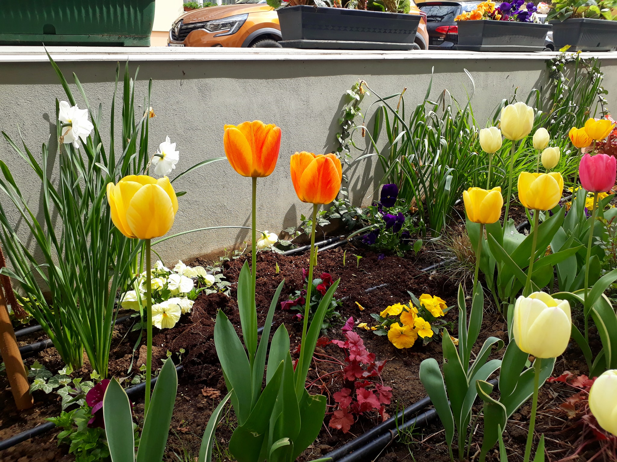 176278353_3872761862819681_2592998469377574812_n