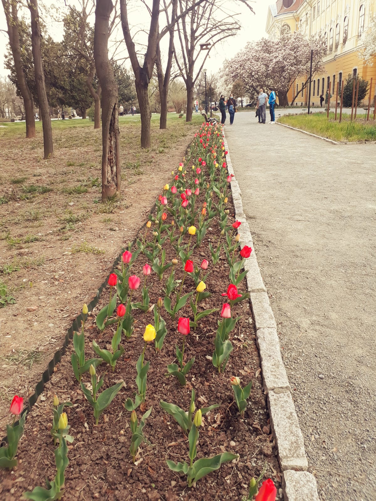 1b5bd1cb-394a-4f10-a2fc-1afc1fc80e19