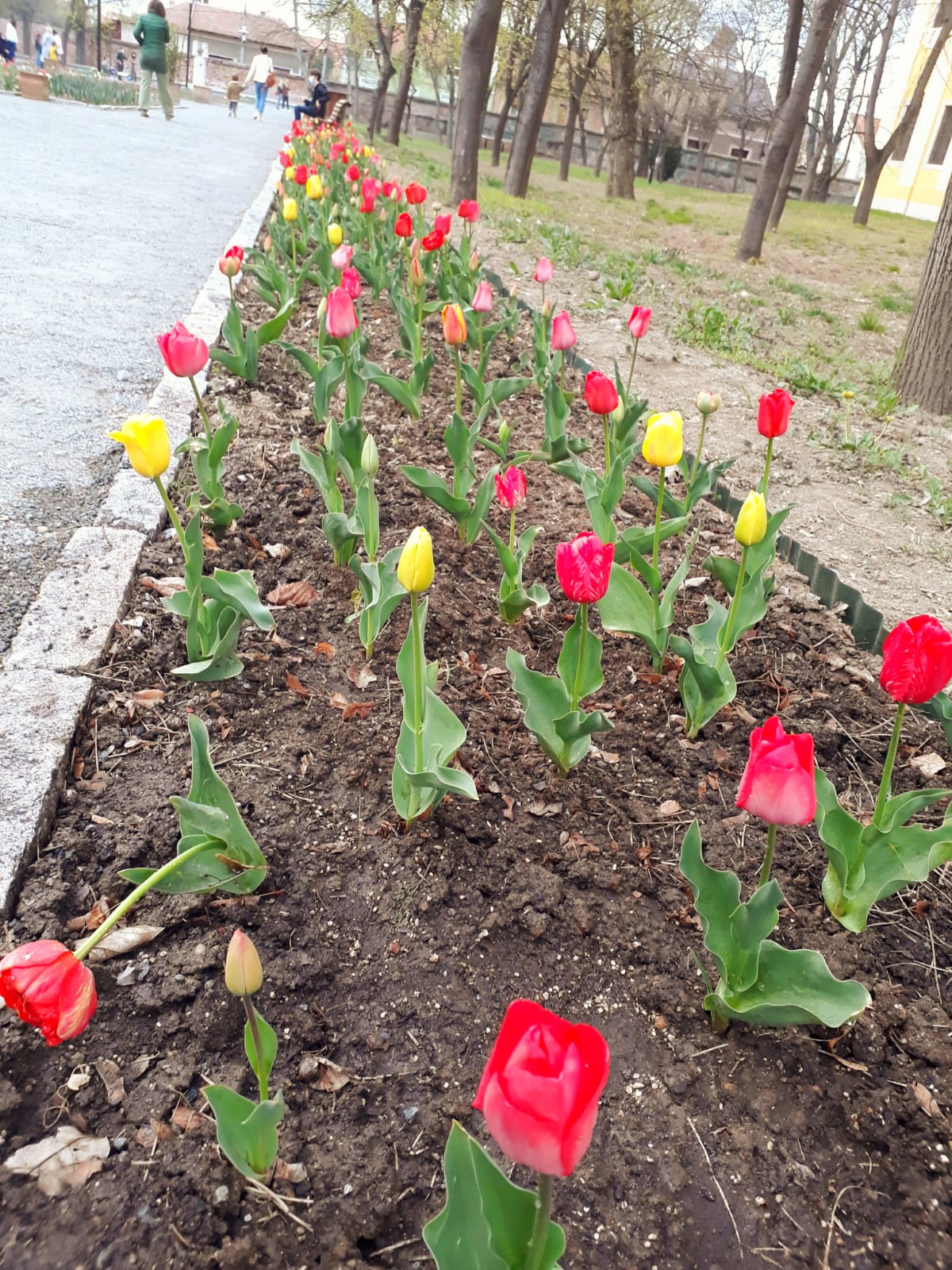 3da355d2-8d5f-4bce-a78a-f0b29ea12989