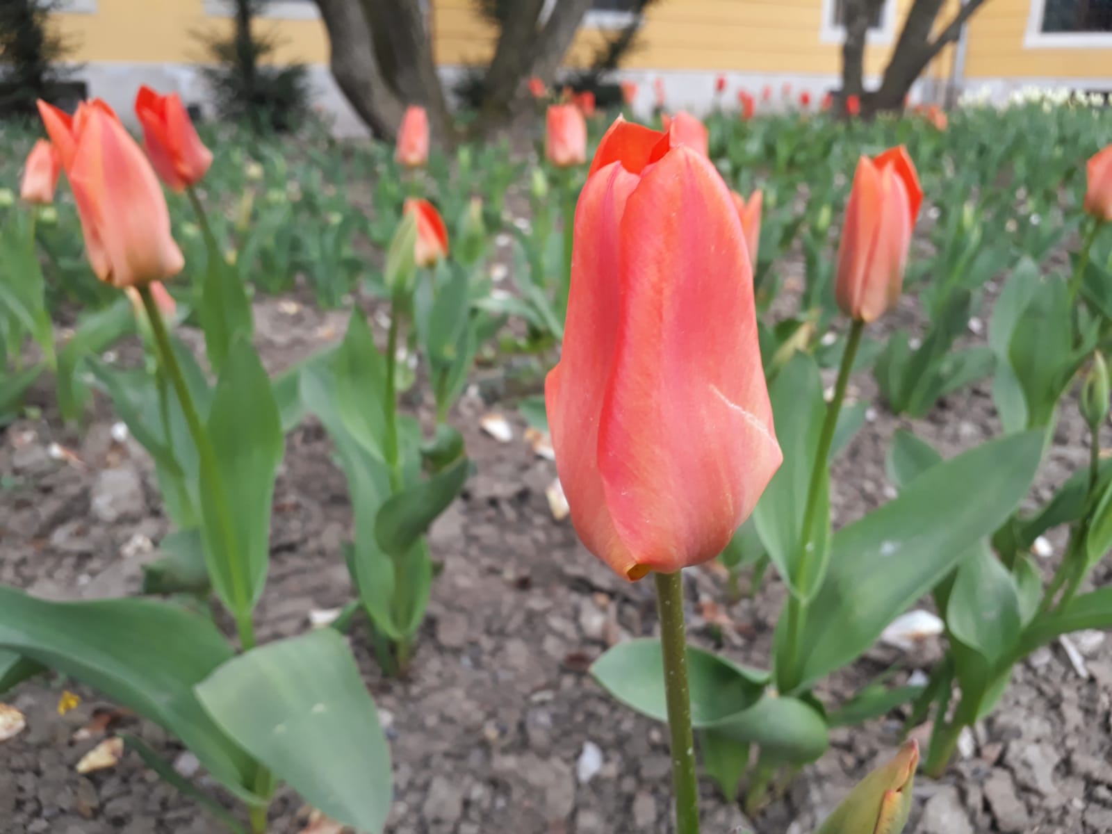 6de437a1-5b3b-4fd7-b5fc-5db45e7cc423