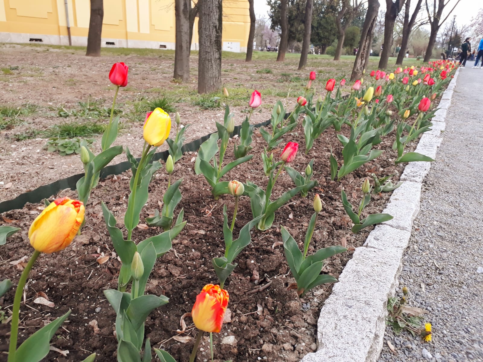 8b93682c-18a4-4a15-b394-3c6c85244508