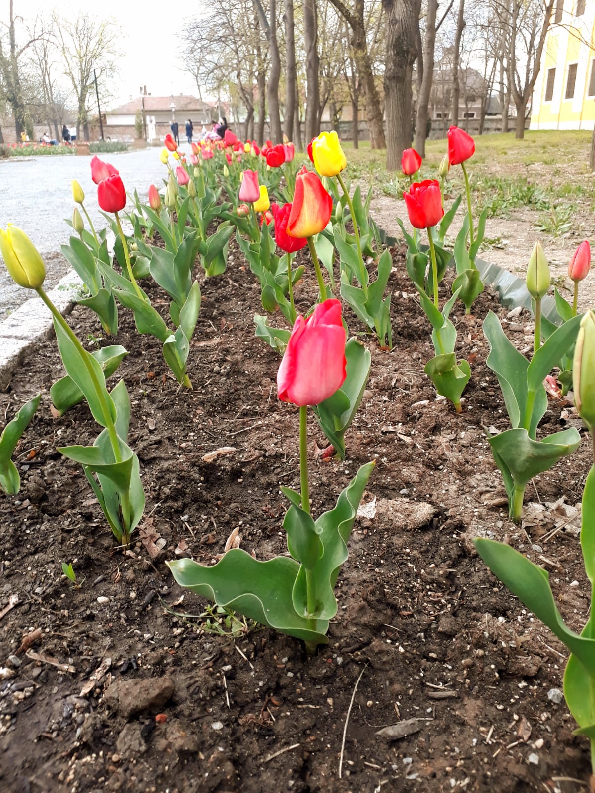 27e4ed0b-cc49-409b-92eb-bb0d2a31b1d6