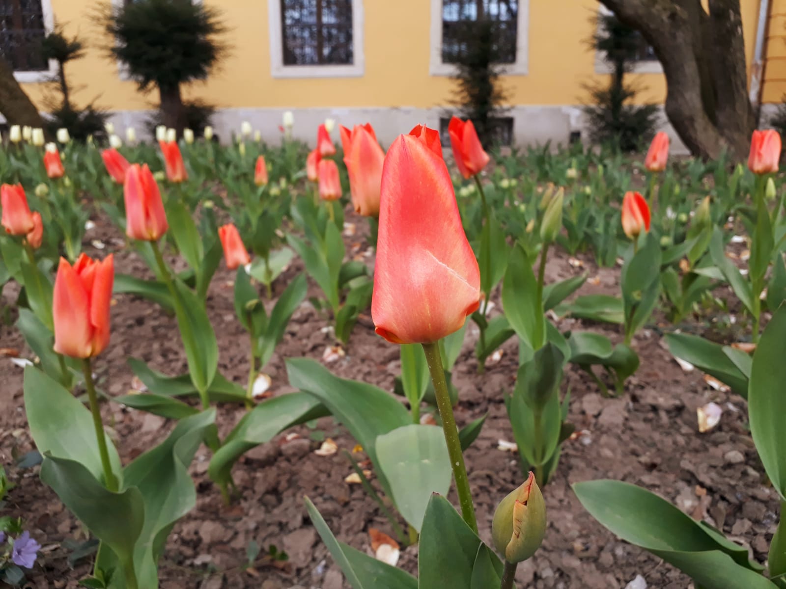 35aea98a-b3a6-4788-b20c-6a95b1de0026