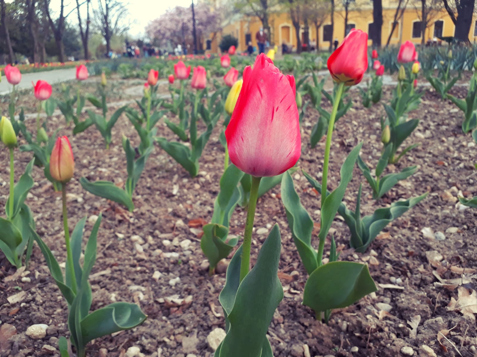 98d0554f-4133-475d-9ed6-af985b8038df