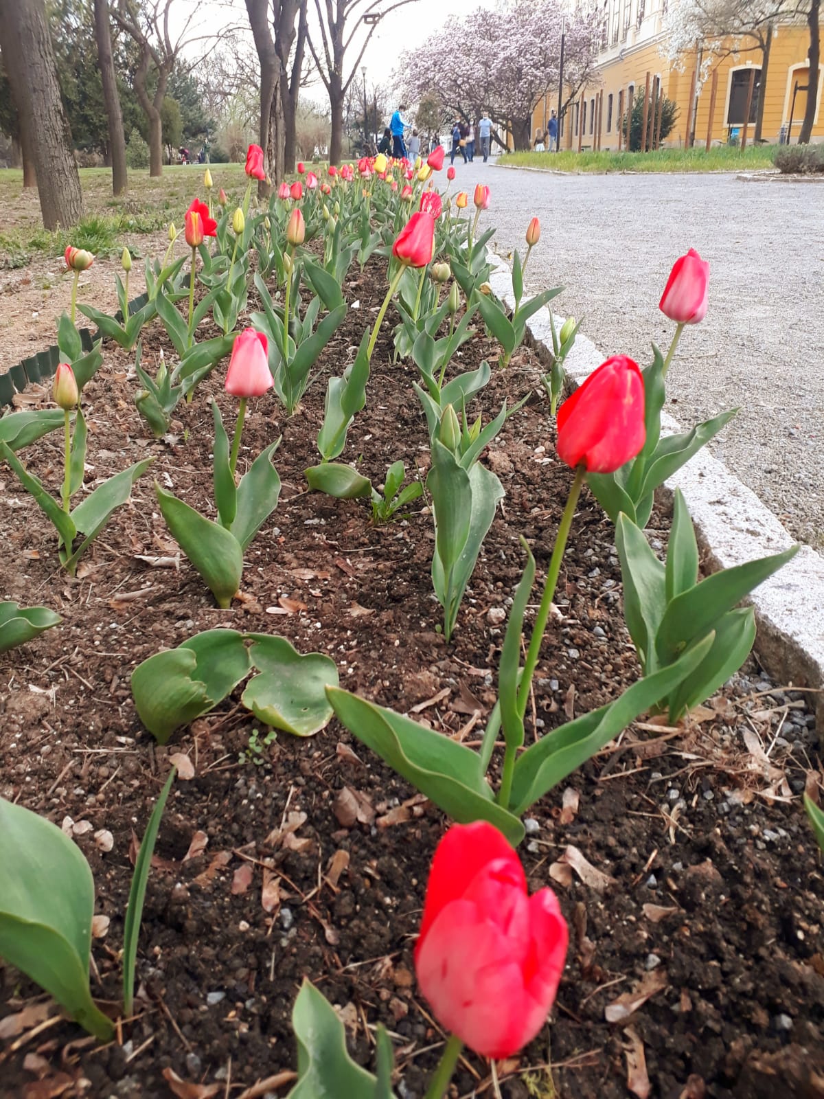 799aadb6-7a8e-438d-90c1-dabd6bc337ad