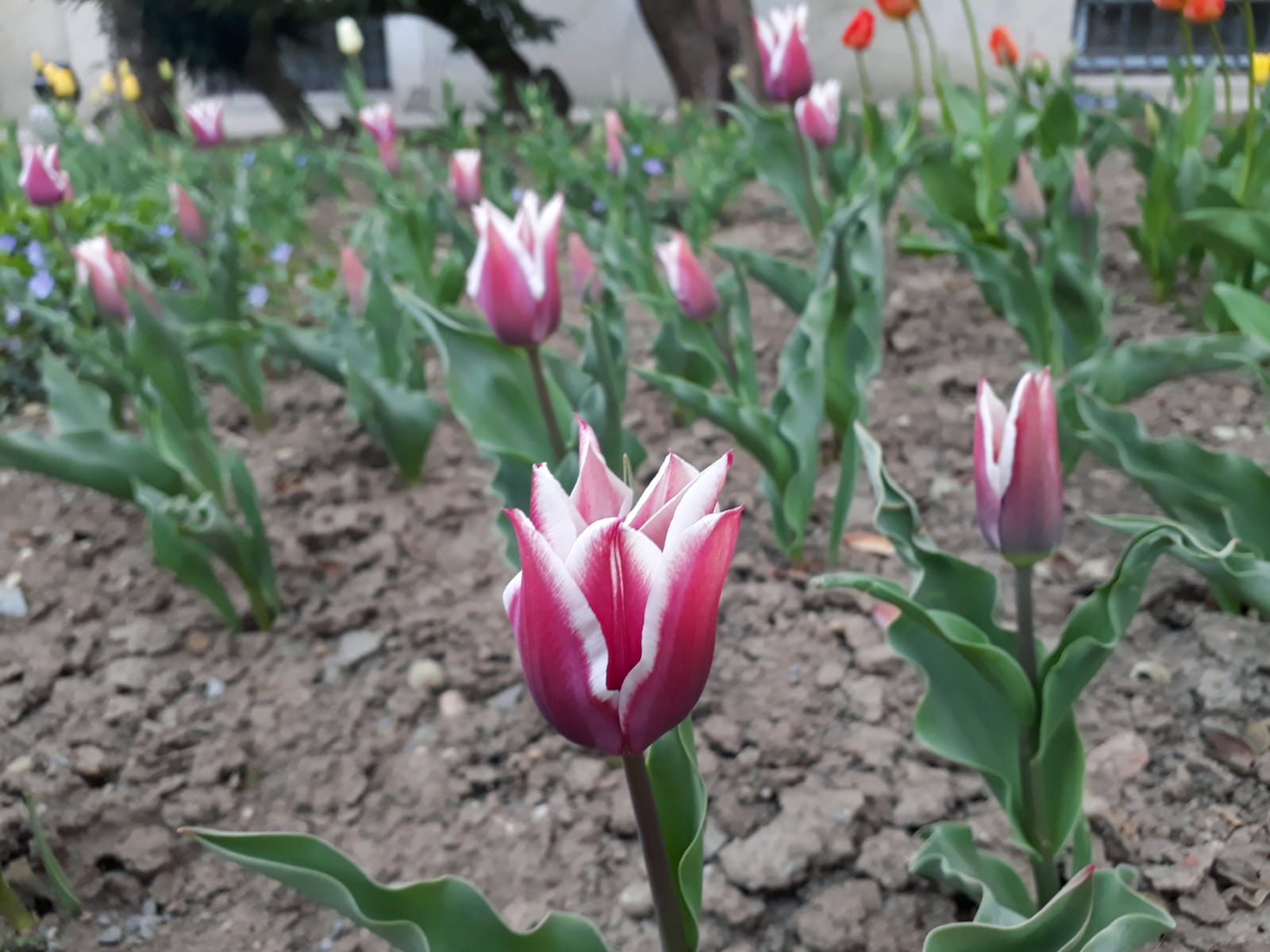 33397926-956f-4b5c-8079-1c54e18eb884