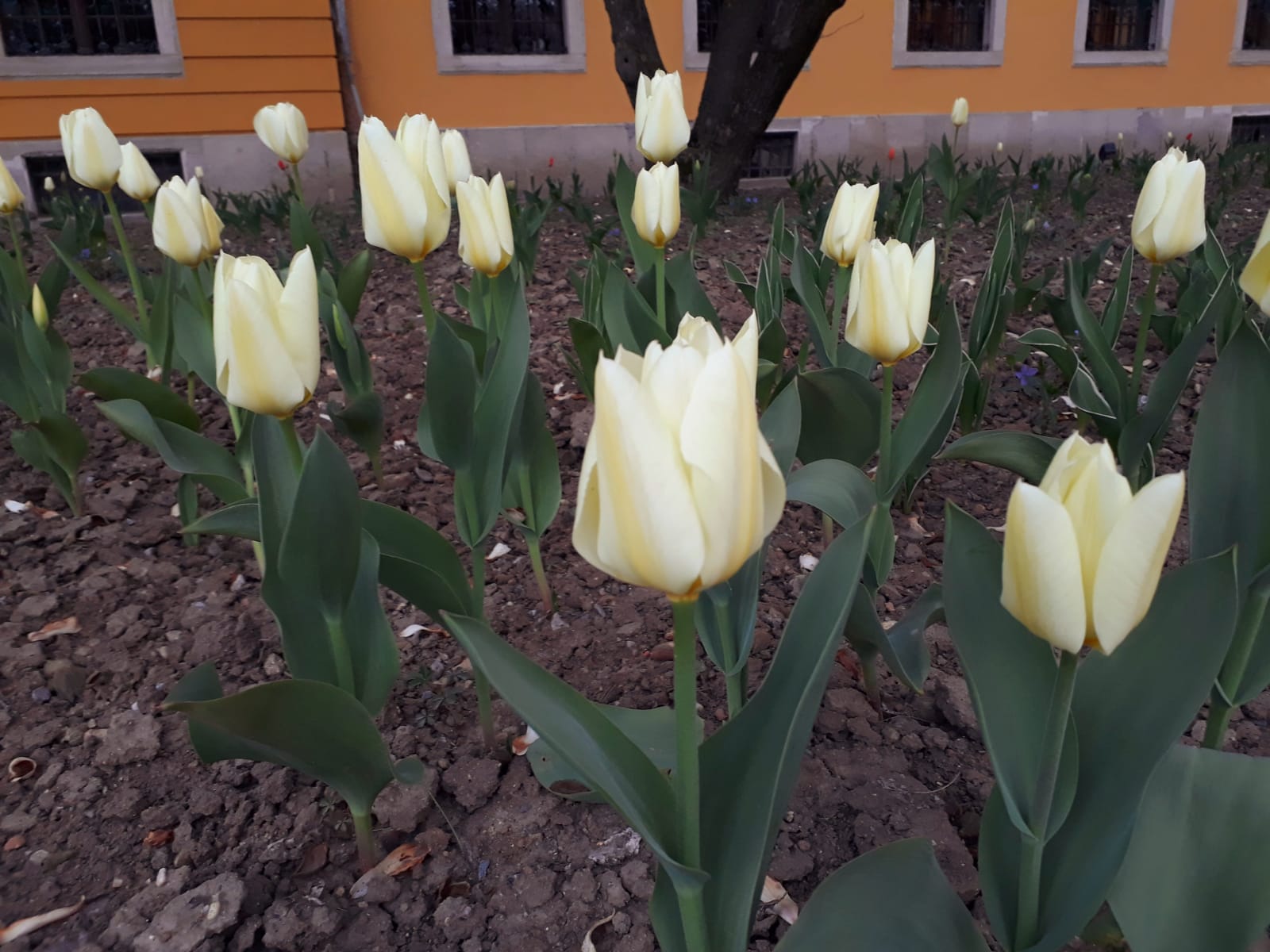 36214532-53d5-46d6-9a37-57bb2fb032bd