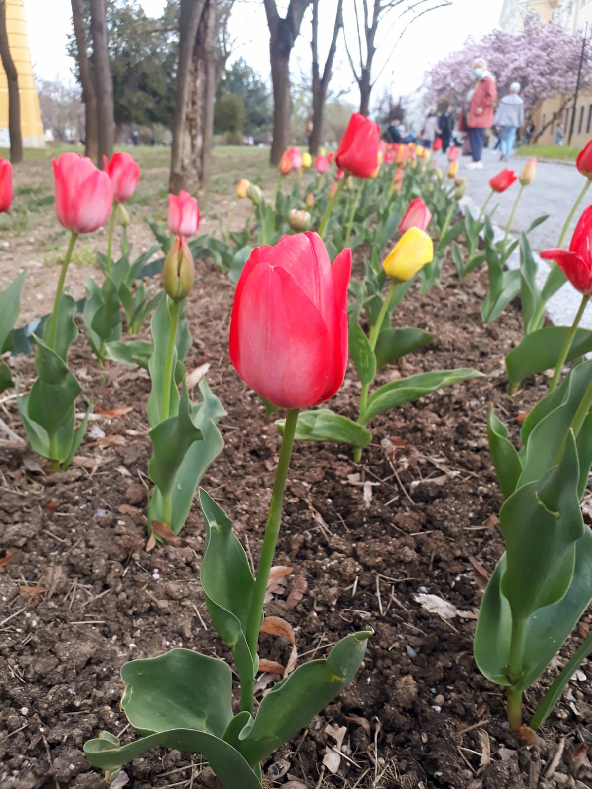 a041f7d2-4657-4687-ac22-a515a7a572d5