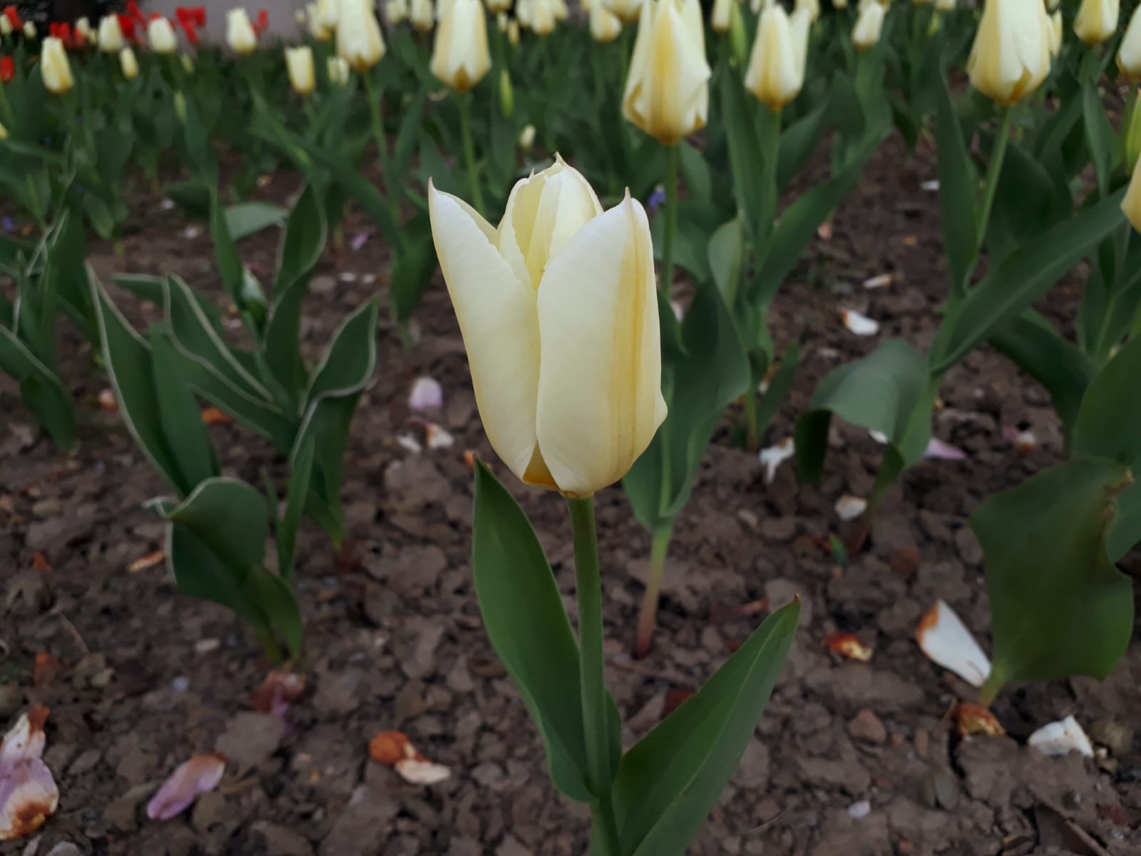 ca58c480-db9c-4c22-a652-3c94450749d8