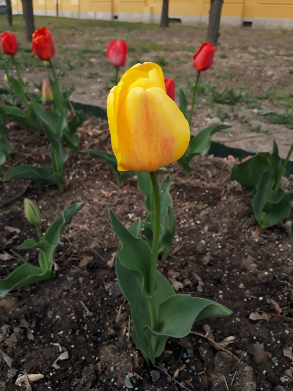 d38a9b22-0c73-4bd2-9e42-40b1e5d72125