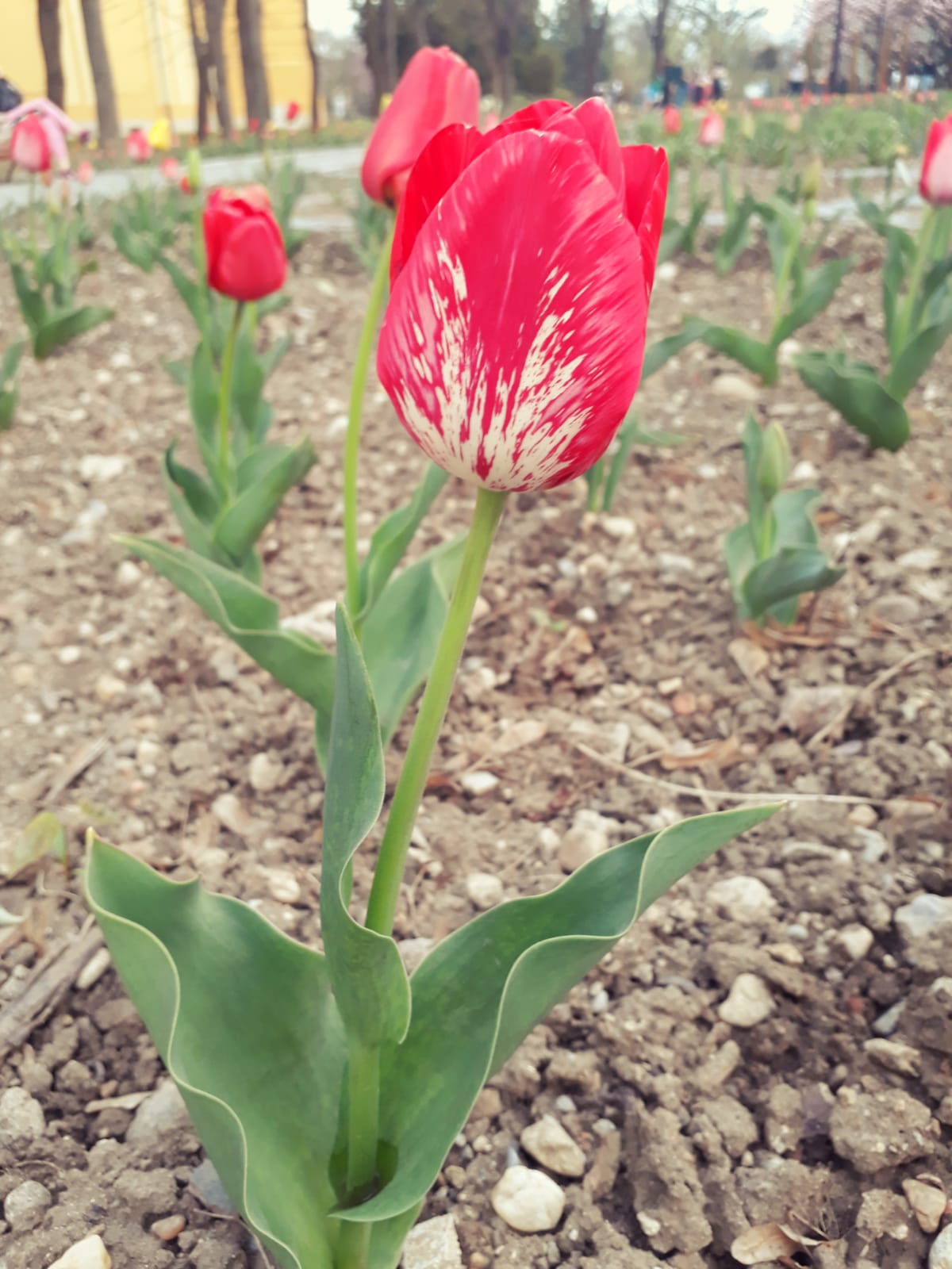 e34f254a-8466-401e-8ce7-58c9d65a9859