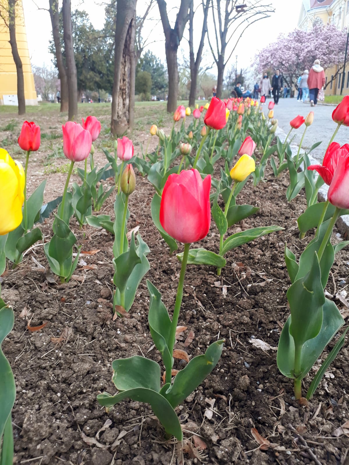 f0e45528-ab8a-4a0f-a0be-ca26e1ed51c1