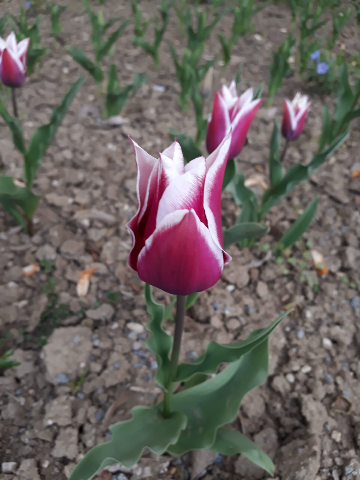 fa8d763e-2c14-4f0e-8f72-837702062ab0