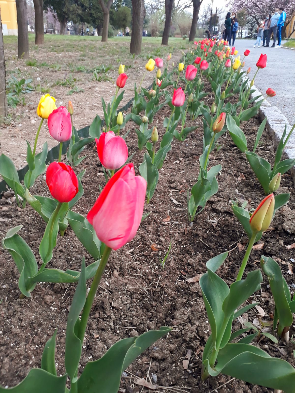 fbbe68e1-3766-4778-82bc-a205b02dee54