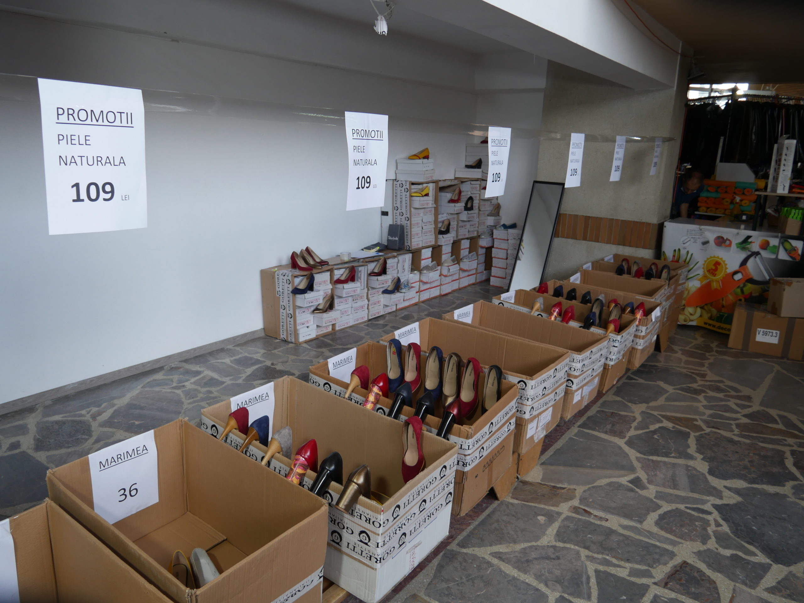 Cavi Expo Fashion (3)