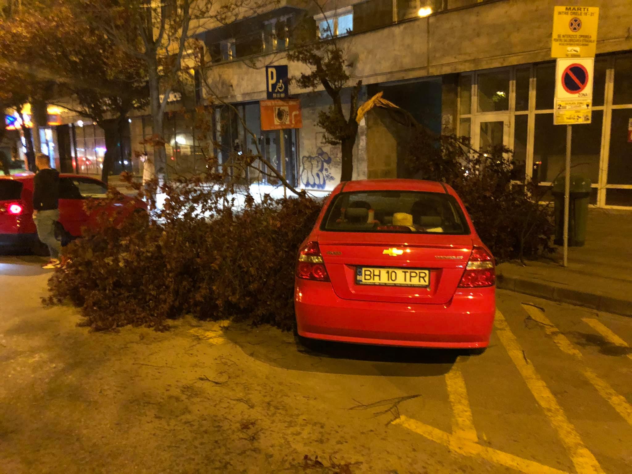 FOTO: Copaci doborâți de vânt în Oradea 06.05.2021
