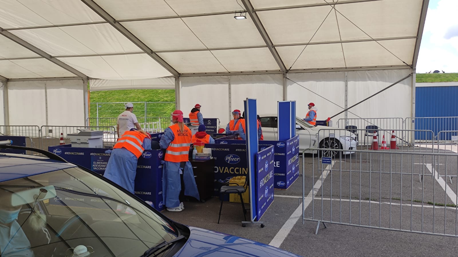 ministrul ioana mihaila oradea osorhei (6)