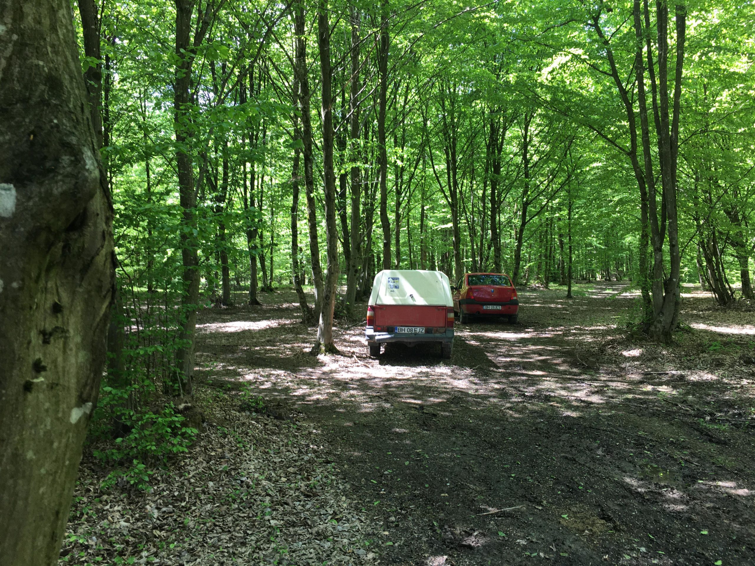 181951378_1098158087336429_5832857260645289084_n