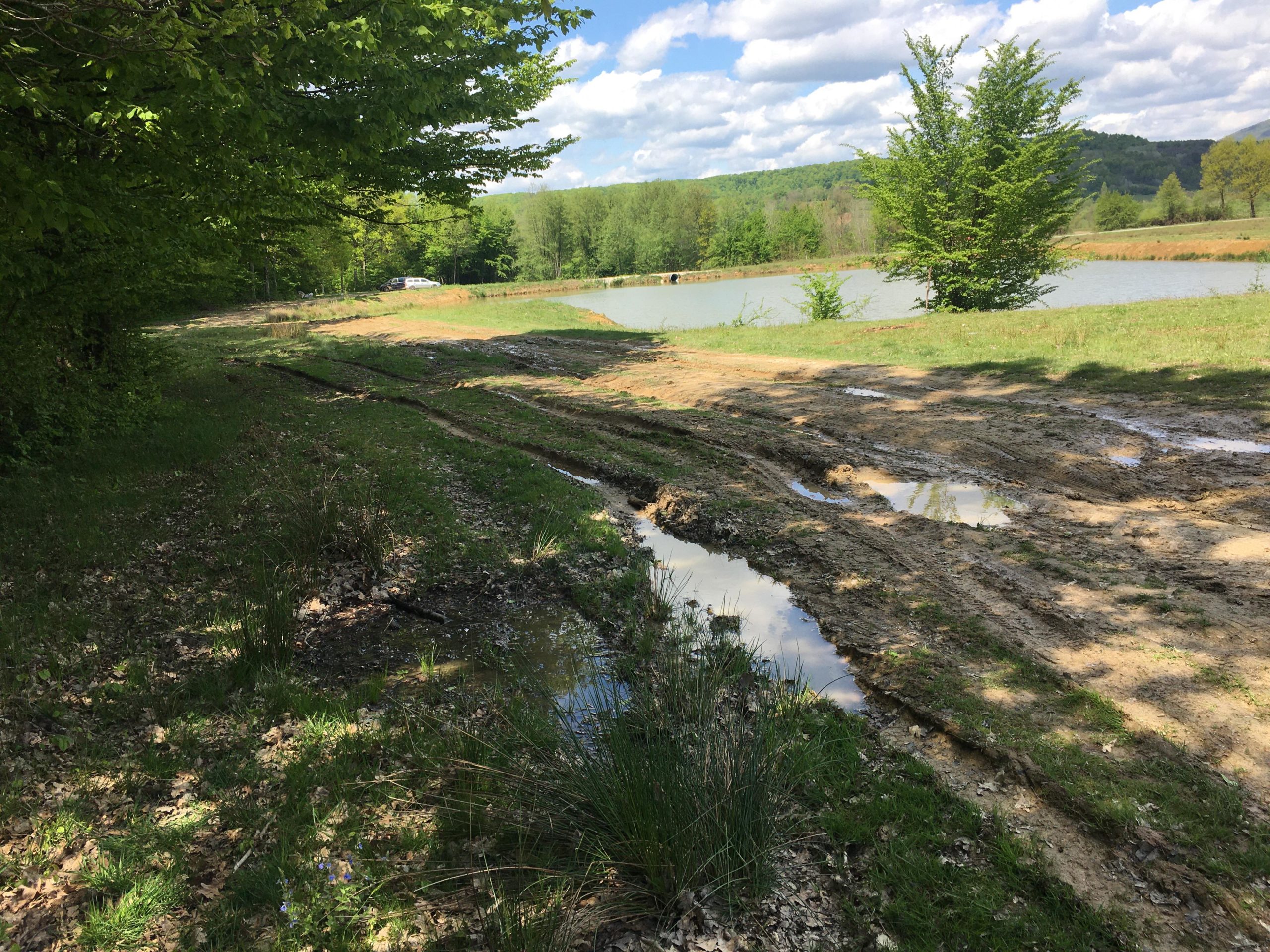 182132955_183436196981926_5135975174070181378_n