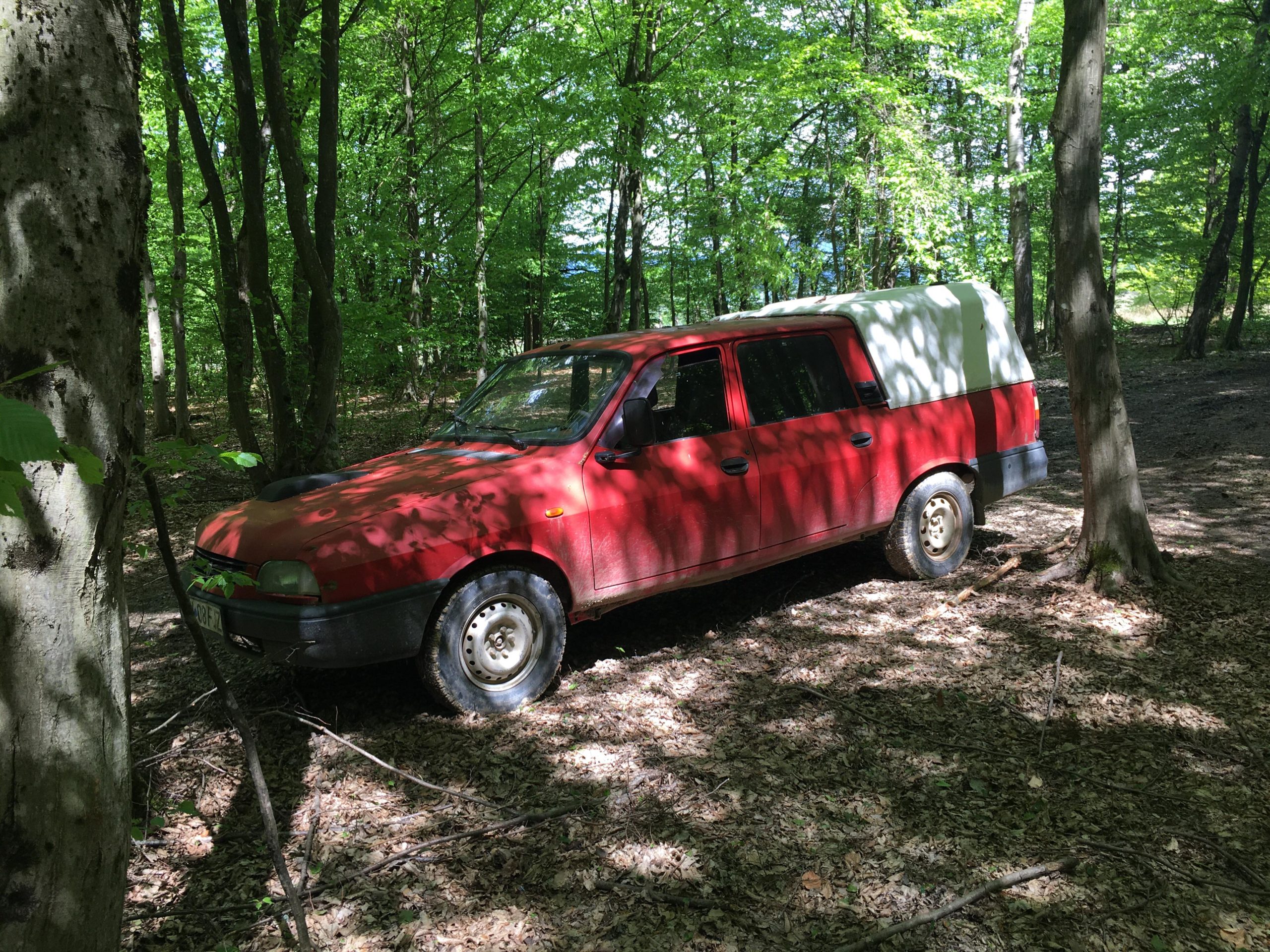 182380664_505606257142647_2729142627448912659_n