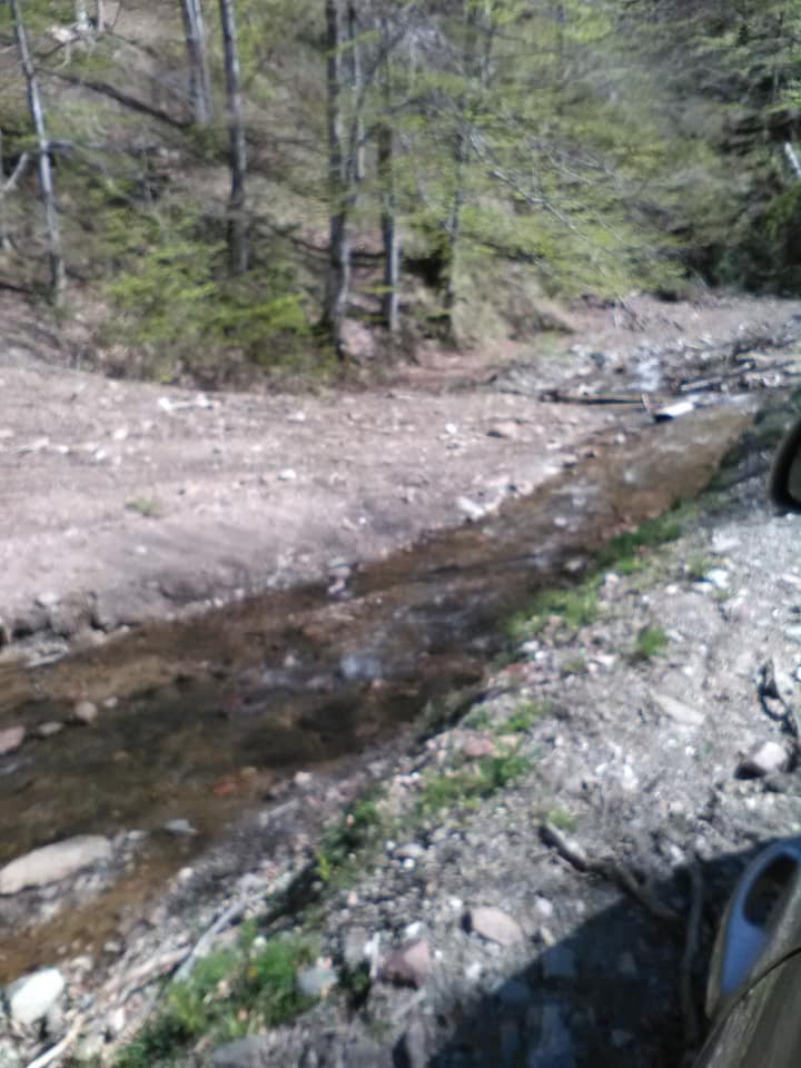 185526918_296796522002653_3558409203447167558_n