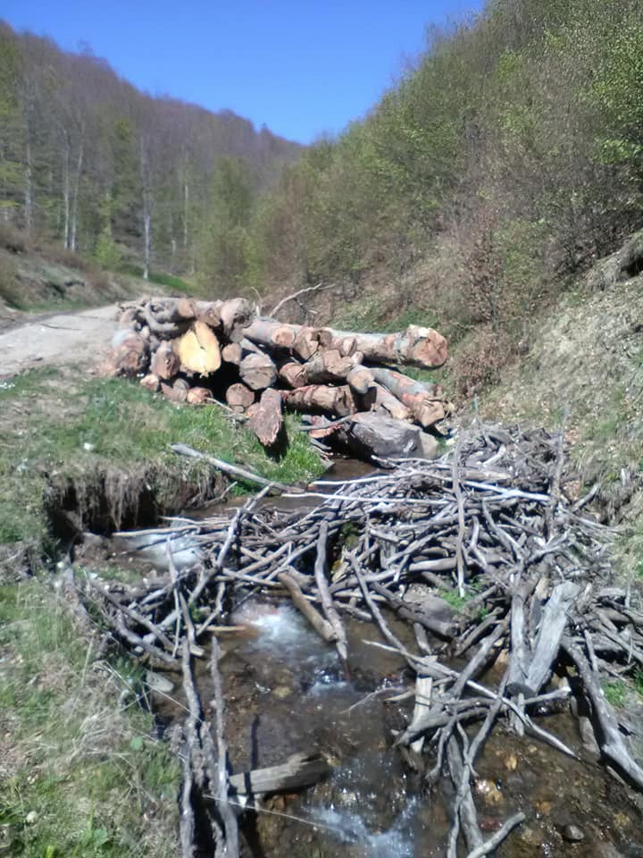 185585728_296796668669305_9088680769071039862_n