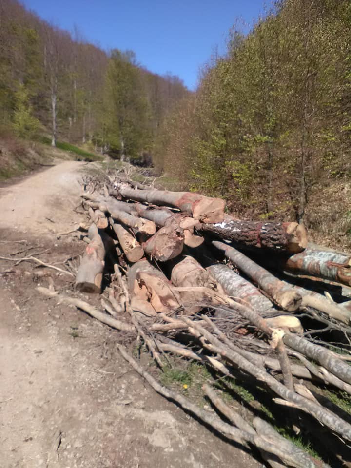 185636602_296796688669303_8877231137132882635_n