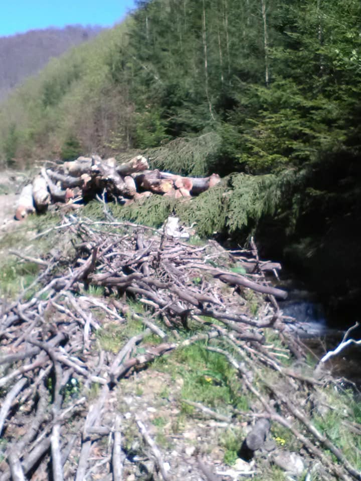 185845111_296796592002646_1842630607134953697_n