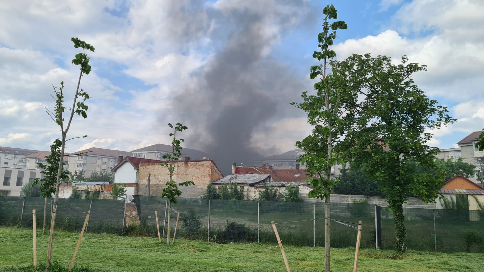 WhatsApp Image 2021-05-29 at 15.29.51