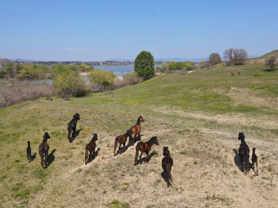 9896813981639917859446644798995653710494227762153116181627n1